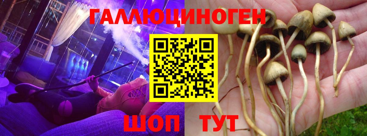 Галлюциногенные грибы Cubensis  Вход с VPN  Иркутск 
